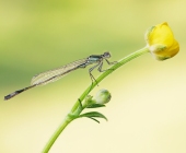 p1230216_kopiewebheller