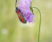 p1040832_kopieweb1