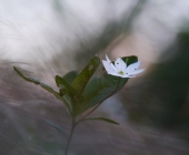 p1090342kopieweb_0