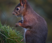 p1170111kopiiiifertig