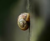 p1080470web-kopie