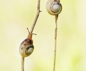 p1150338kopieauswfertig