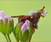 21235783-kopie