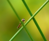 p1070735_kopieweb