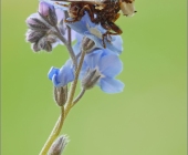 p1220143kopie_kopie_passig_gemacht2