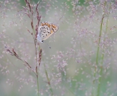 p1040628kopieauswahlfertig