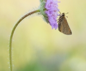 p1100298neuesteversion