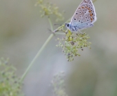 p1110060kopie_webkopie2