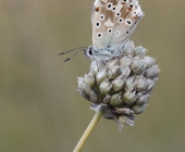 p1170400kopiewebgrad