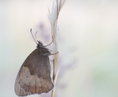 p1180129kopiefertigweb