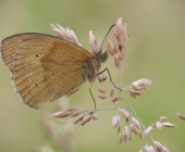 p1190910kopie1234567888_passig_gemacht