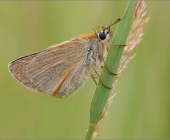 p1200618kopie123456789_passig_gemacht