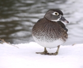 p1110210_passig_gemacht