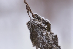 Winterwelt
