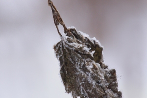 Winterwelt