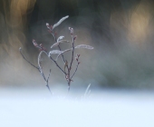 p1260300web